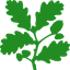 National Trust icon