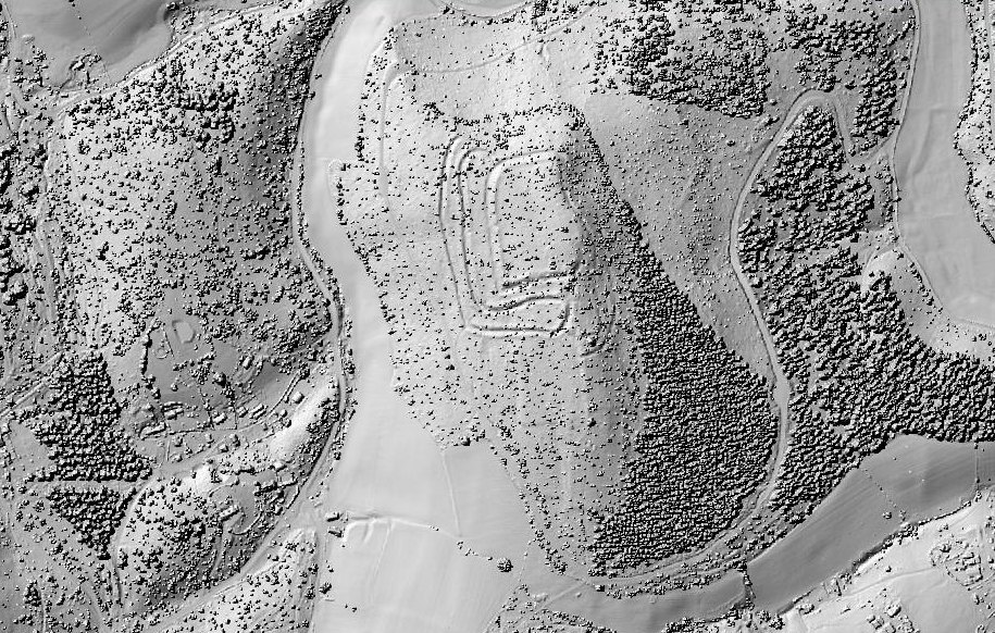 LiDAR surface model of Welshbury, showing individual tree crowns as texture