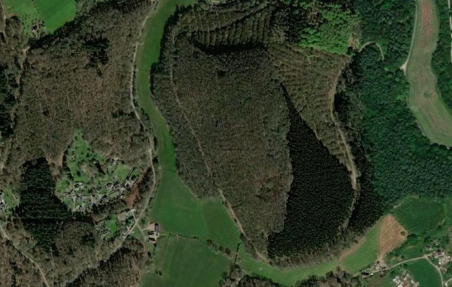 Aerial view of Welshbury Wood, showing dense tree cover